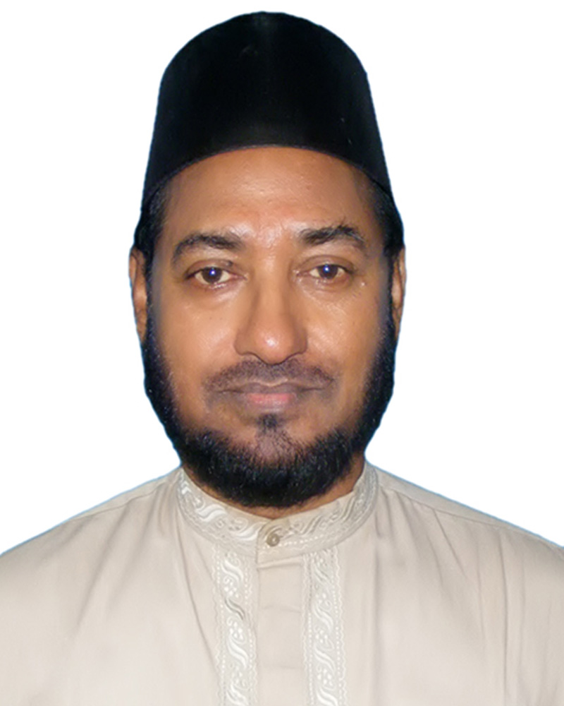 Professor Dr. A K M Abdul Quader